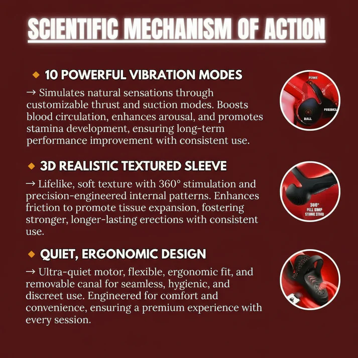 Preview /693beeff1e9f8f000965a068/2025/12/12/product-img-693bf270771fa328e863df01.png